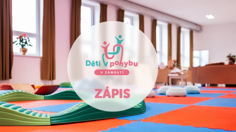 detivpohybu_zapis_zamosti